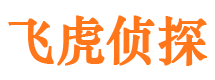 平潭外遇出轨调查取证